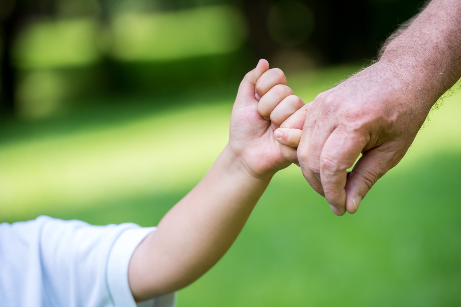 Life Insurance Thoby Hansen Agency
