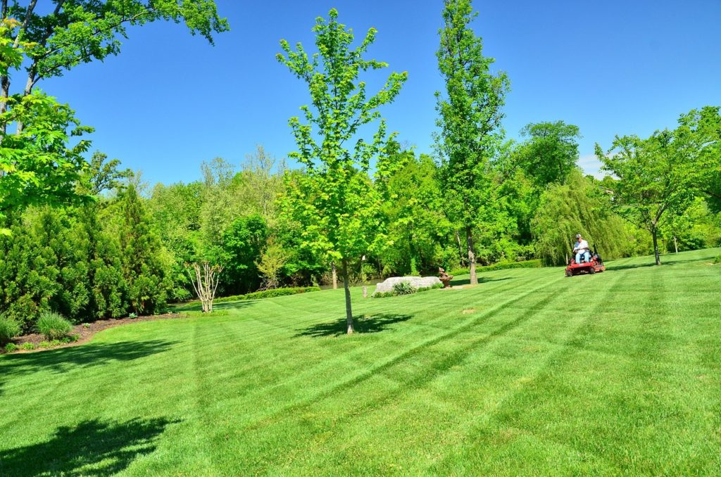 General liability insurance for lawn care business