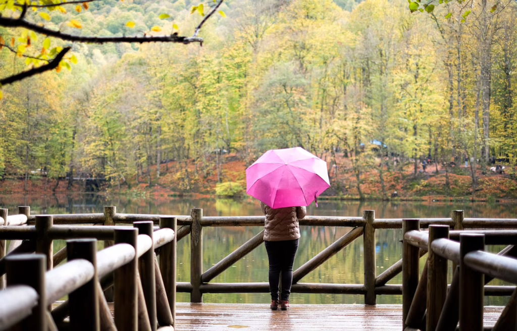 how much umbrella insurance do I need