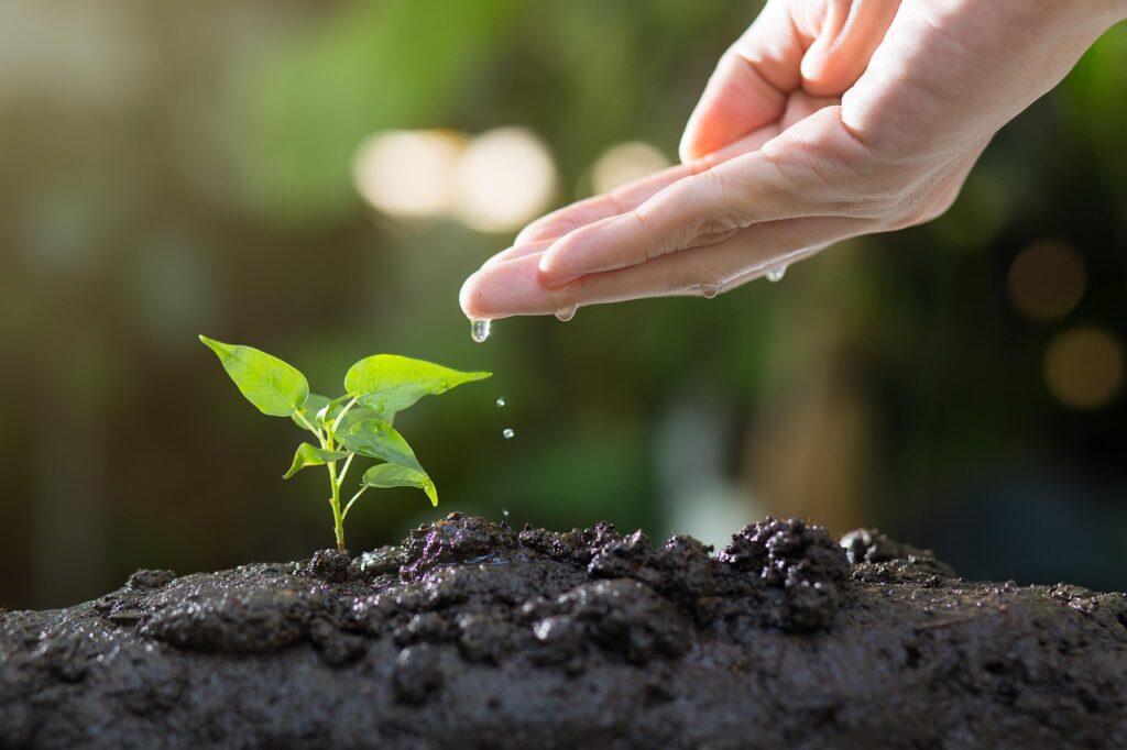 term life insurance