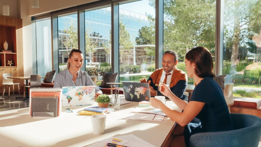 Professional Indemnity and Public Liability Insurance